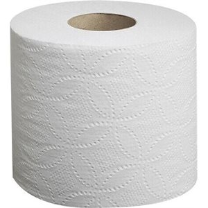 PL420 - PAPIER HYGIÉNIQUE RÉGULIER 2 PLIS - 48 RLX - 420 FEUILLES